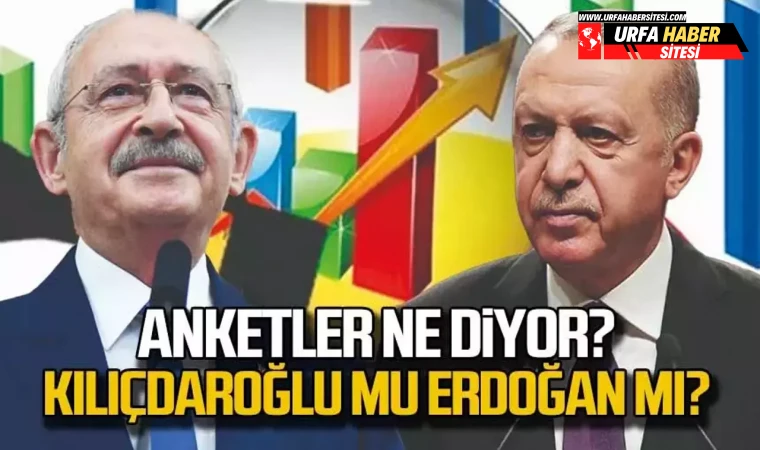 Anketler ne diyor? Kılıçdaroğlu mu Erdoğan mı?