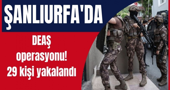 Urfa'da DEAŞ operasyonu! 29 kişi yakalandı