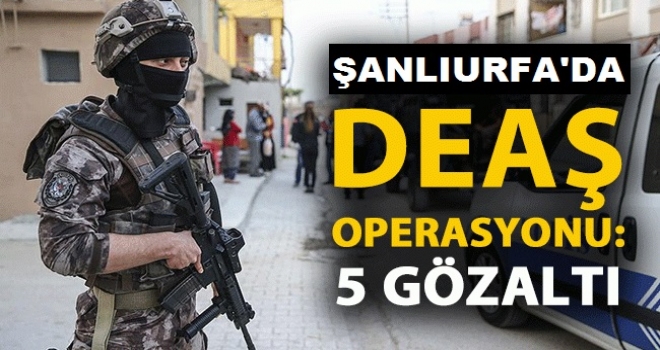 Şanlıurfa'da DEAŞ operasyonu: 5 gözaltı